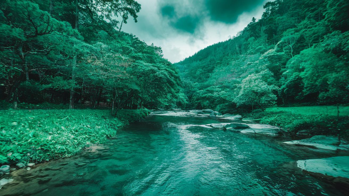 citibank best buy credit card — Financing Rules, Rewards, and Approval Tips